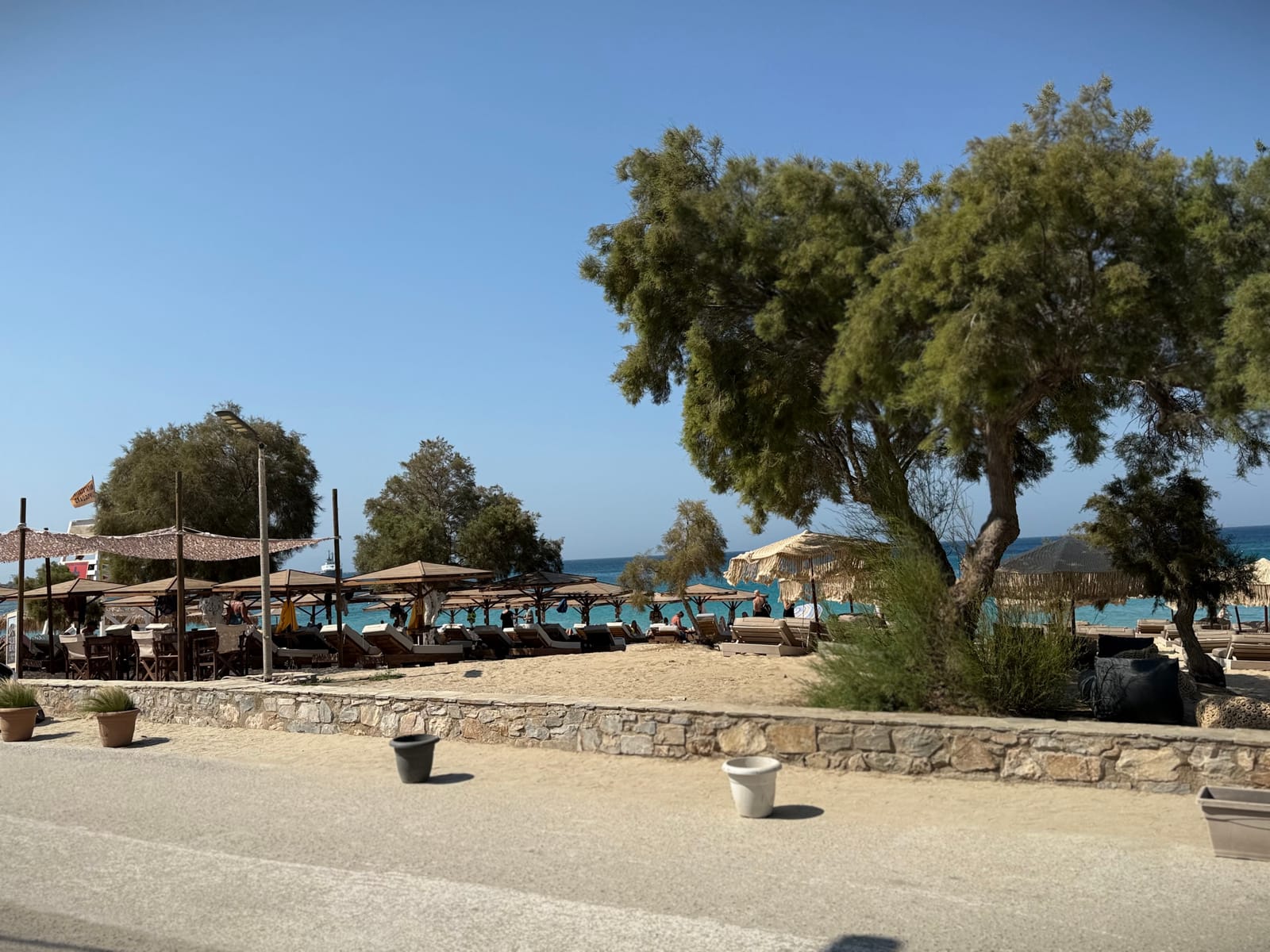 A Naxos beach club seen from the coast road — thatched umbrellas and wooden loungers under tamarisk trees, turquoise water beyond a low stone wall
